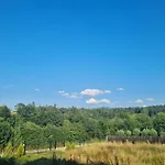 Vila Lac 別荘