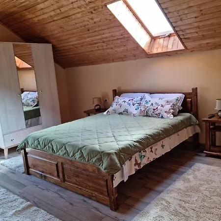 Vila Lac בית נופש *