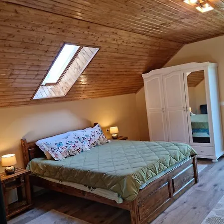 Vila Lac Dom wakacyjny *
