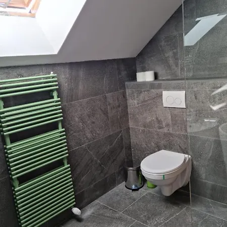 בית נופש Vila Lac בראשוב