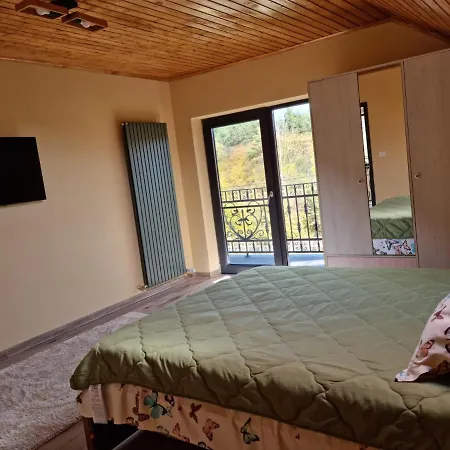 בית נופש Vila Lac בראשוב