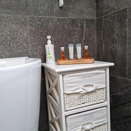 Vila Lac בראשוב