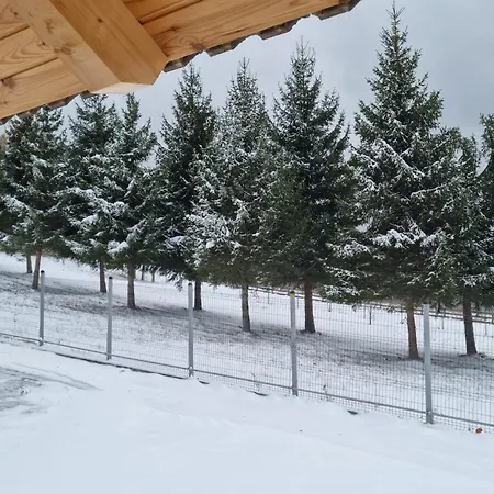 Vila Lac בית נופש *