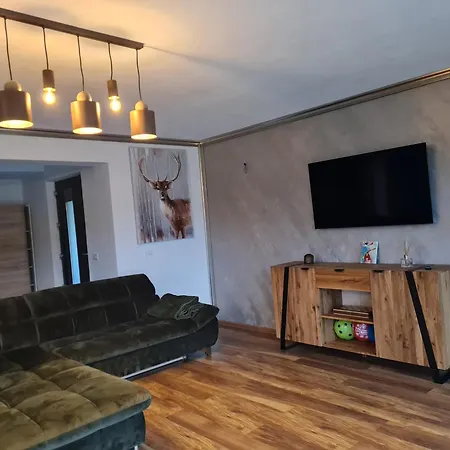 Vila Lac בית נופש *