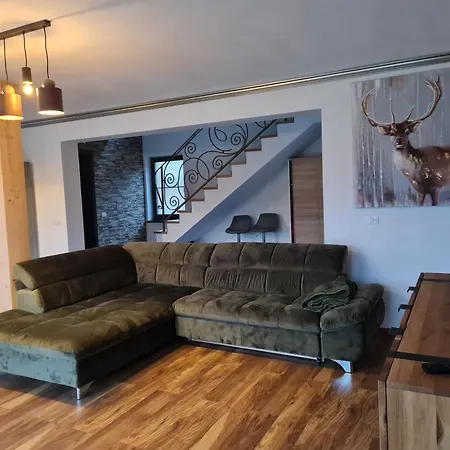 Vila Lac בית נופש *