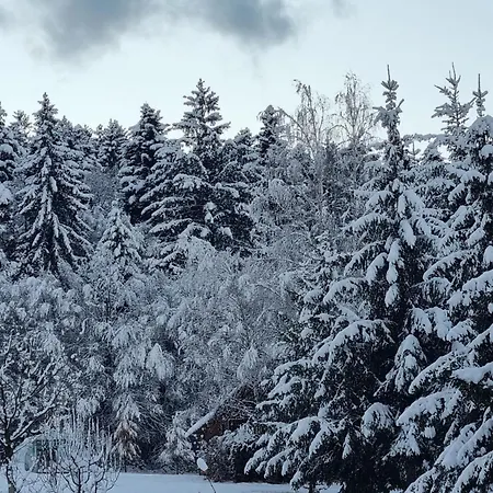 Vila Lac בראשוב