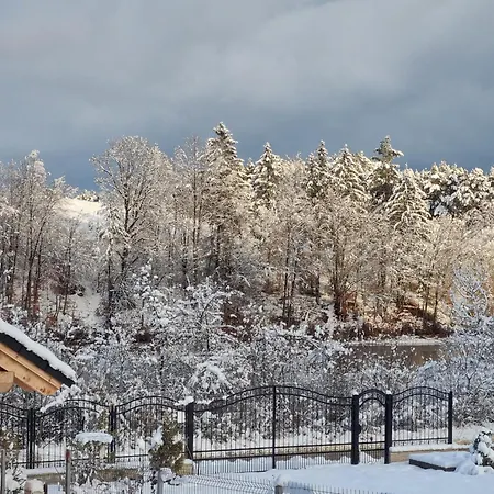 Vakantiehuis Vila Lac *
