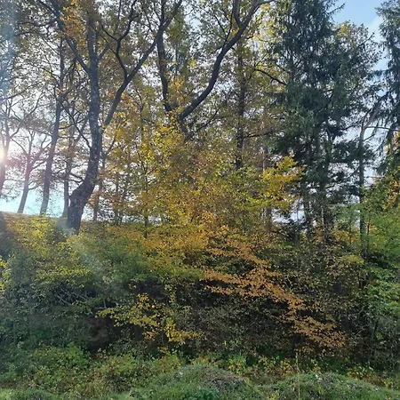 Vila Lac