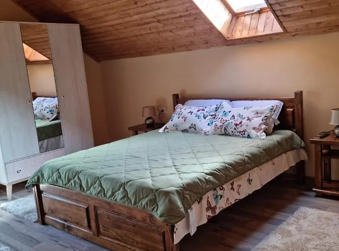 Vila Lac Holiday home *