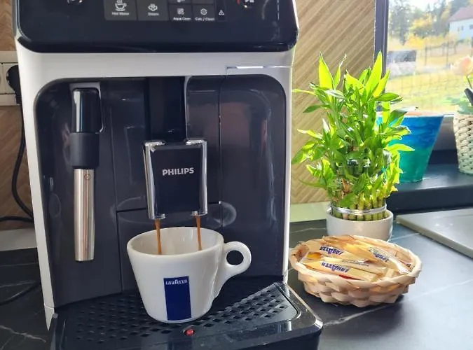 Vila Lac Будинок відпочинку Брашов