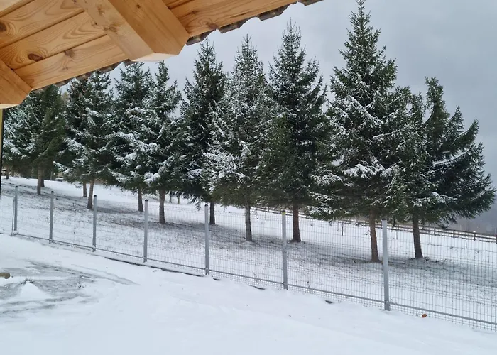 Vila Lac Будинок відпочинку *