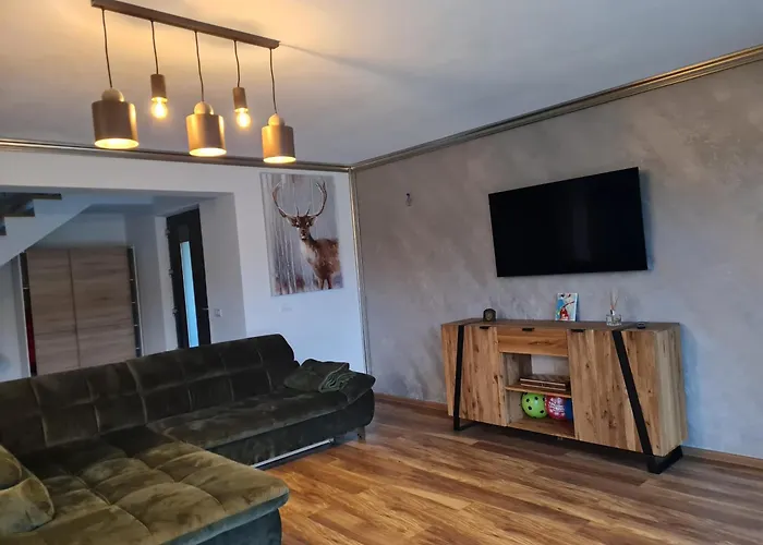 Vila Lac Holiday home *