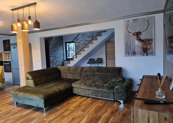 Vila Lac Holiday home *