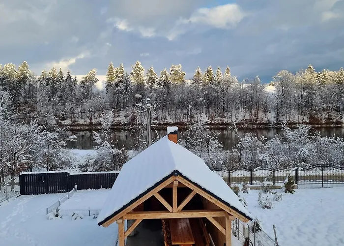 Vila Lac Holiday home