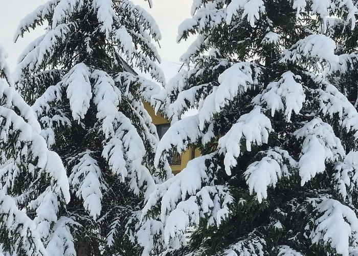 Holiday home Vila Lac Brasov