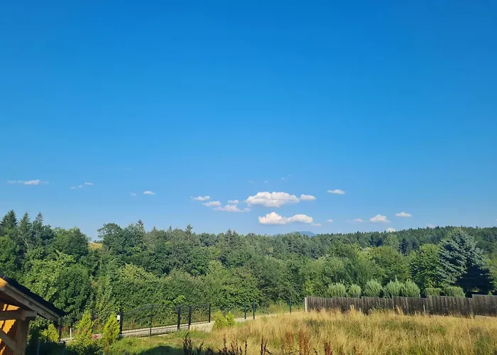 Vila Lac Будинок відпочинку